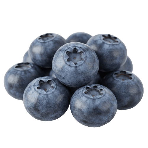 Mustikka